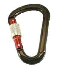 4071-8146-74 Karabińczyk aluminiowy z zabezpieczeniem sprężynowym gruszkowaty 1.jpg